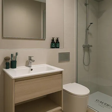 Hotel Gaudea 4*